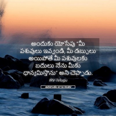 Picture 05 - ఆదికాండం 47:16 TELIRV - అందుకు యోసేపు “మీ - Bible Verse Picture