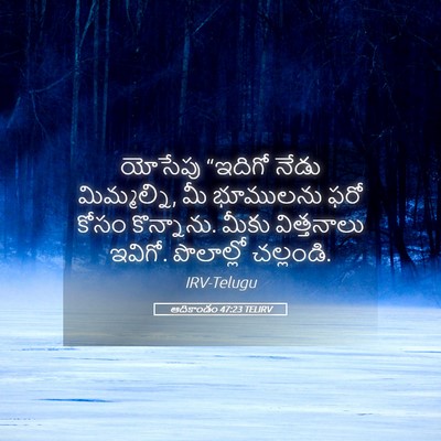 Picture 05 - ఆదికాండం 47:23 TELIRV - యోసేపు “ఇదిగో - Bible Verse Picture