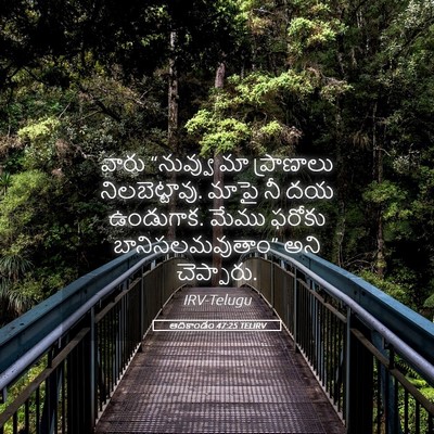 Picture 05 - ఆదికాండం 47:25 TELIRV - వారు “నువ్వు మా - Bible Verse Picture