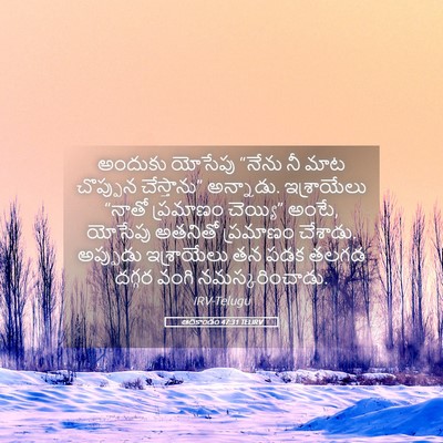 Picture 05 - ఆదికాండం 47:31 TELIRV - అందుకు యోసేపు - Bible Verse Picture