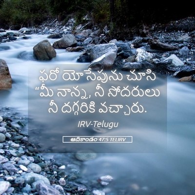 Picture 05 - ఆదికాండం 47:5 TELIRV - ఫరో యోసేపును చూసి - Bible Verse Picture