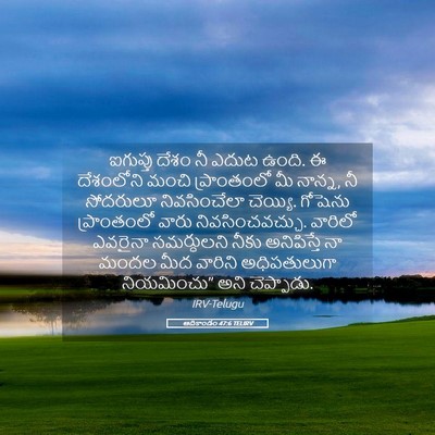 Picture 05 - ఆదికాండం 47:6 TELIRV - ఐగుప్తు దేశం నీ - Bible Verse Picture