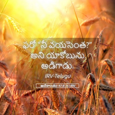 Picture 05 - ఆదికాండం 47:8 TELIRV - ఫరో “నీ వయసెంత?” - Bible Verse Picture