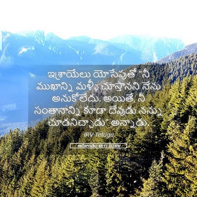 Picture 05 - ఆదికాండం 48:11 TELIRV - ఇశ్రాయేలు - Bible Verse Picture