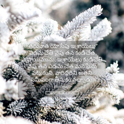 Picture 05 - ఆదికాండం 48:13 TELIRV - తరువాత యోసేపు - Bible Verse Picture