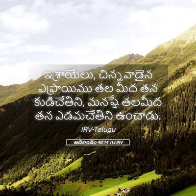 Picture 05 - ఆదికాండం 48:14 TELIRV - ఇశ్రాయేలు, - Bible Verse Picture