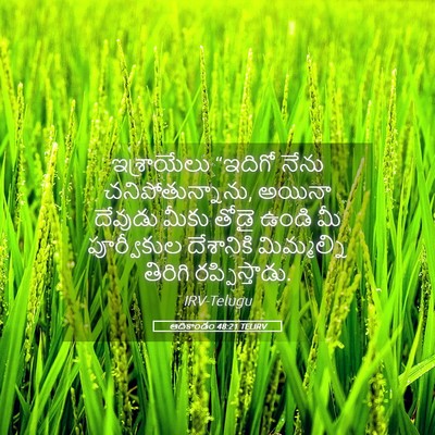 Picture 05 - ఆదికాండం 48:21 TELIRV - ఇశ్రాయేలు “ఇదిగో - Bible Verse Picture