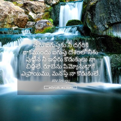 Picture 05 - ఆదికాండం 48:5 TELIRV - నేను ఐగుప్తుకు నీ - Bible Verse Picture