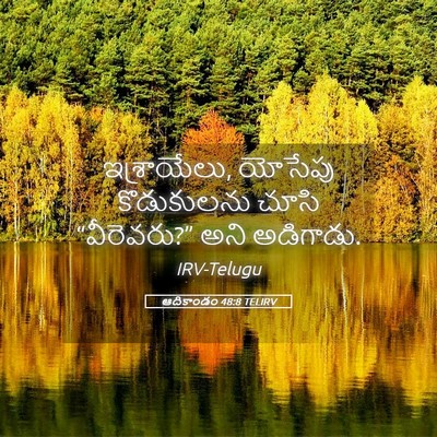 Picture 05 - ఆదికాండం 48:8 TELIRV - ఇశ్రాయేలు, యోసేపు - Bible Verse Picture