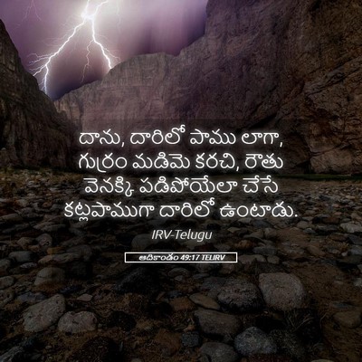 Picture 05 - ఆదికాండం 49:17 TELIRV - దాను, దారిలో పాము - Bible Verse Picture