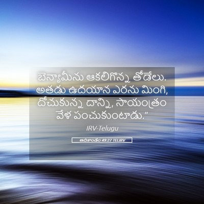 Picture 05 - ఆదికాండం 49:27 TELIRV - బెన్యామీను - Bible Verse Picture