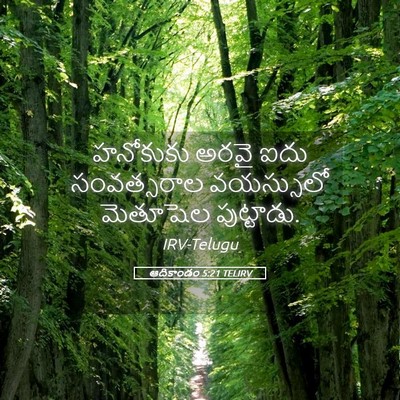 Picture 05 - ఆదికాండం 5:21 TELIRV - హనోకుకు అరవై ఐదు - Bible Verse Picture
