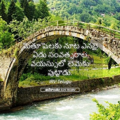 Picture 05 - ఆదికాండం 5:25 TELIRV - మెతూషెలకు నూట - Bible Verse Picture