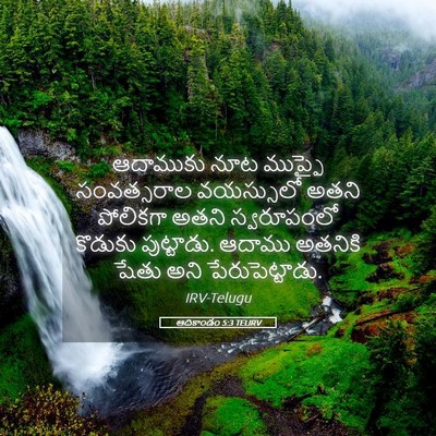 Picture 05 - ఆదికాండం 5:3 TELIRV - ఆదాముకు నూట - Bible Verse Picture