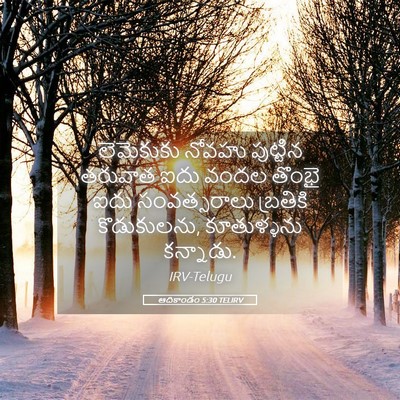 Picture 05 - ఆదికాండం 5:30 TELIRV - లెమెకుకు నోవహు - Bible Verse Picture