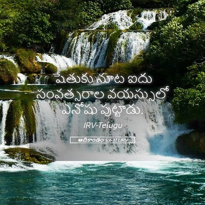 Picture 05 - ఆదికాండం 5:6 TELIRV - షేతుకు నూట ఐదు - Bible Verse Picture