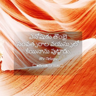 Picture 05 - ఆదికాండం 5:9 TELIRV - ఎనోషుకు తొంభై - Bible Verse Picture