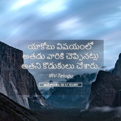 Picture 05 - ఆదికాండం 50:12 TELIRV - యాకోబు విషయంలో - Bible Verse Picture