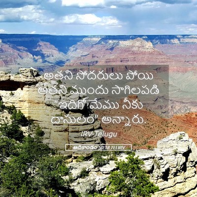 Picture 05 - ఆదికాండం 50:18 TELIRV - అతని సోదరులు పోయి - Bible Verse Picture