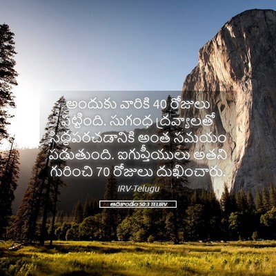 Picture 05 - ఆదికాండం 50:3 TELIRV - అందుకు వారికి 40 - Bible Verse Picture
