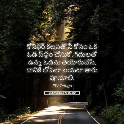 Picture 05 - ఆదికాండం 6:14 TELIRV - కోనిఫర్ కలపతో నీ - Bible Verse Picture