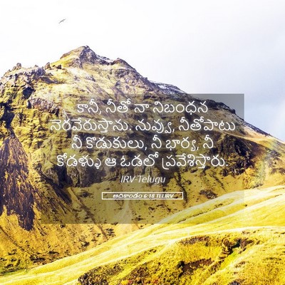 Picture 05 - ఆదికాండం 6:18 TELIRV - కానీ, నీతో నా - Bible Verse Picture