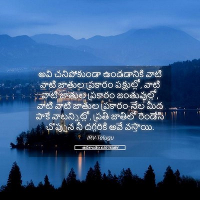 Picture 05 - ఆదికాండం 6:20 TELIRV - అవి చనిపోకుండా - Bible Verse Picture