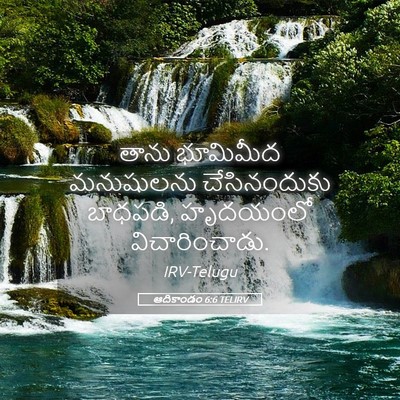 Picture 05 - ఆదికాండం 6:6 TELIRV - తాను భూమిమీద - Bible Verse Picture
