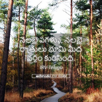 Picture 05 - ఆదికాండం 7:12 TELIRV - నలభై పగళ్ళు, నలభై - Bible Verse Picture