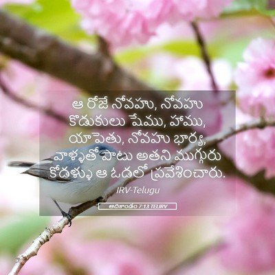 Picture 05 - ఆదికాండం 7:13 TELIRV - ఆ రోజే నోవహు, నోవహు - Bible Verse Picture