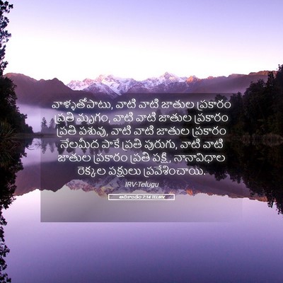 Picture 05 - ఆదికాండం 7:14 TELIRV - వాళ్ళతోపాటు, వాటి - Bible Verse Picture