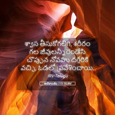 Picture 05 - ఆదికాండం 7:15 TELIRV - శ్వాస - Bible Verse Picture