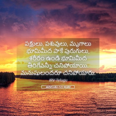 Picture 05 - ఆదికాండం 7:21 TELIRV - పక్షులు, పశువులు, - Bible Verse Picture