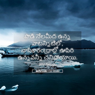 Picture 05 - ఆదికాండం 7:22 TELIRV - పొడి నేలమీద ఉన్న - Bible Verse Picture