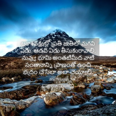 Picture 05 - ఆదికాండం 7:3 TELIRV - ఆకాశపక్షుల్లో - Bible Verse Picture