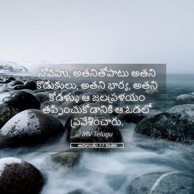 Picture 05 - ఆదికాండం 7:7 TELIRV - నోవహు, అతనితోపాటు - Bible Verse Picture
