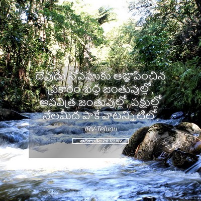 Picture 05 - ఆదికాండం 7:8 TELIRV - దేవుడు నోవహుకు - Bible Verse Picture