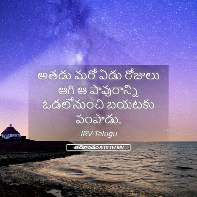Picture 05 - ఆదికాండం 8:10 TELIRV - అతడు మరో ఏడు - Bible Verse Picture