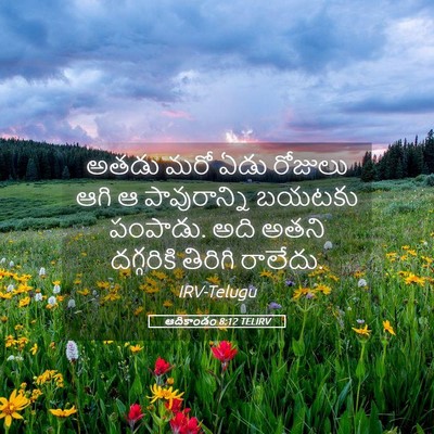 Picture 05 - ఆదికాండం 8:12 TELIRV - అతడు మరో ఏడు - Bible Verse Picture