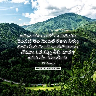 Picture 05 - ఆదికాండం 8:13 TELIRV - ఆరువందల ఒకటో - Bible Verse Picture
