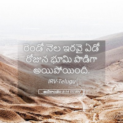 Picture 05 - ఆదికాండం 8:14 TELIRV - రెండో నెల ఇరవై ఏడో - Bible Verse Picture