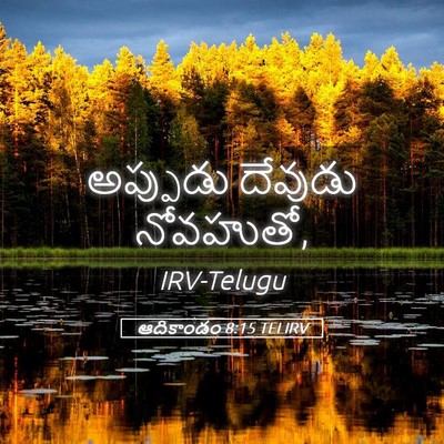 Picture 05 - ఆదికాండం 8:15 TELIRV - అప్పుడు దేవుడు - Bible Verse Picture