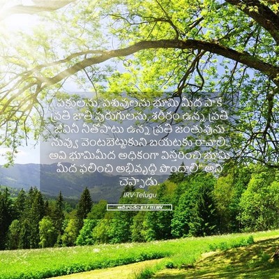 Picture 05 - ఆదికాండం 8:17 TELIRV - పక్షులను, - Bible Verse Picture