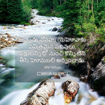 Picture 05 - ఆదికాండం 8:20 TELIRV - అప్పుడు నోవహు - Bible Verse Picture