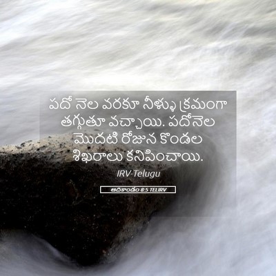 Picture 05 - ఆదికాండం 8:5 TELIRV - పదో నెల వరకూ - Bible Verse Picture