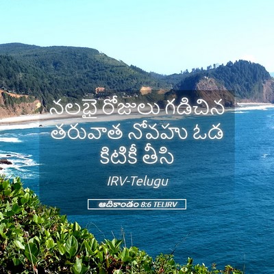 Picture 05 - ఆదికాండం 8:6 TELIRV - నలభై రోజులు - Bible Verse Picture