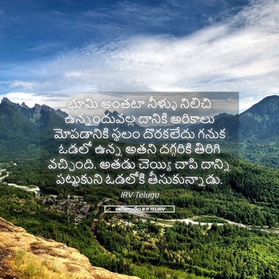 Picture 05 - ఆదికాండం 8:9 TELIRV - భూమి అంతటా నీళ్ళు - Bible Verse Picture