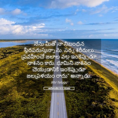 Picture 05 - ఆదికాండం 9:11 TELIRV - నేను మీతో నా - Bible Verse Picture