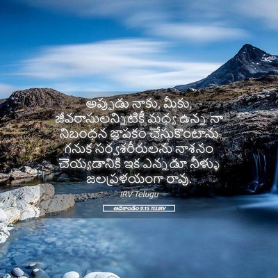 Picture 05 - ఆదికాండం 9:15 TELIRV - అప్పుడు నాకు, మీకు, - Bible Verse Picture