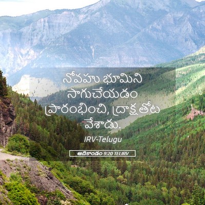 Picture 05 - ఆదికాండం 9:20 TELIRV - నోవహు భూమిని - Bible Verse Picture
